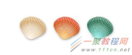 巧用Illustrator绘制精致贝壳教程重在打造贝壳的细致纹理