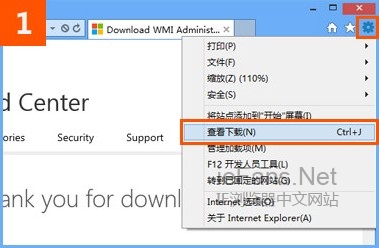 IE10查看下载
